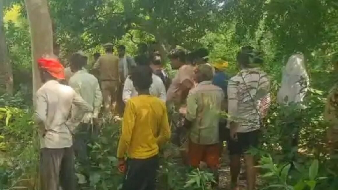 गोंडा में 8 साल की दलित बच्ची की संदिग्ध मौत: आम बीनने गई थी, झाड़ियों में मिला शव, परिजन बोले- हत्या हुई है