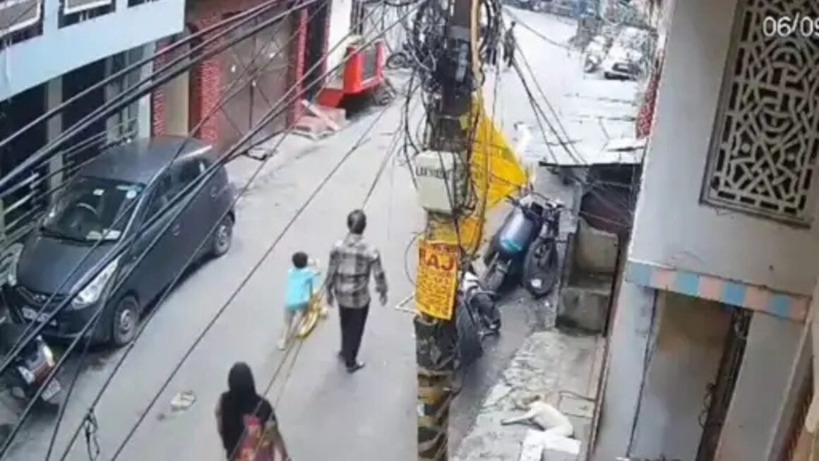 लखनऊ में आवारा सांडों का आतंक: पोते को बचाते समय दादा को सींग मारा, CCTV में कैद हुई दिल दहला देने वाली घटना