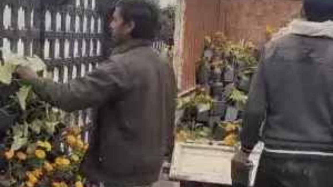 लखनऊ में कार-स्कूटी सवार गमले चुरा ले गए, FIR होगी: 30 जवान तैनात; योगी की चेतावनी के बाद भी नहीं माने लोग