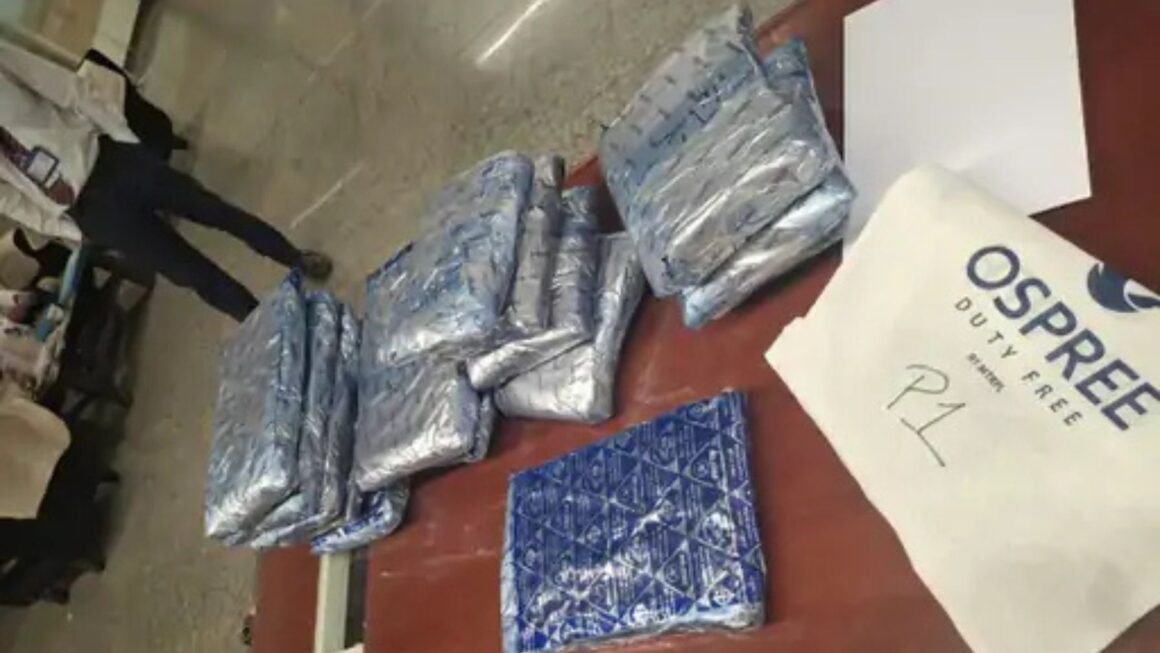 लखनऊ एयरपोर्ट पर बड़ा ड्रग्स कांड: मस्कट से आए यात्री के बैग से 8.55 करोड़ का गांजा बरामद