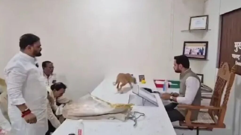 नासिक में बोरे में भरकर कुत्ते अफसर की मेज पर छोड़े, VIDEO वायरल; प्रदर्शन के बाद दर्ज हुआ केस